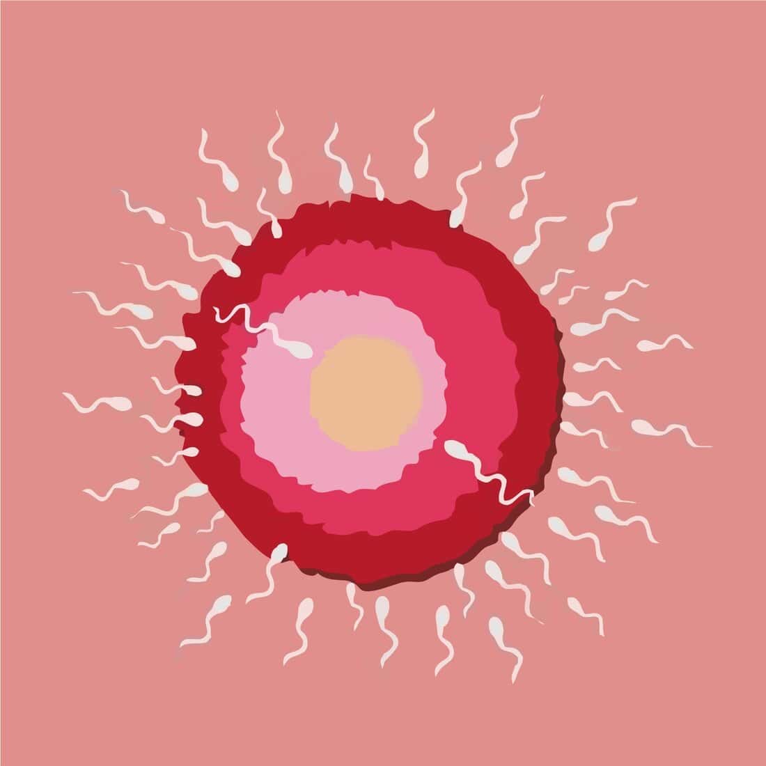 Μπορώ να μείνω έγκυος ενώ θηλάζω;